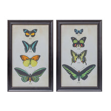  Framed Butterfly Set of 2 in Black Wooden Frames