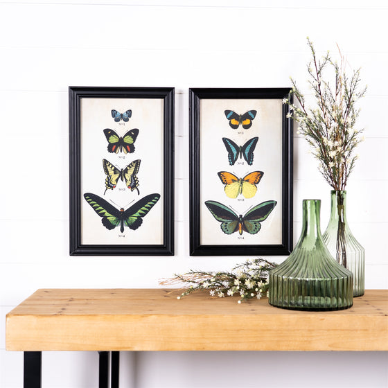 Framed Butterfly Set of 2 in Black Wooden Frames