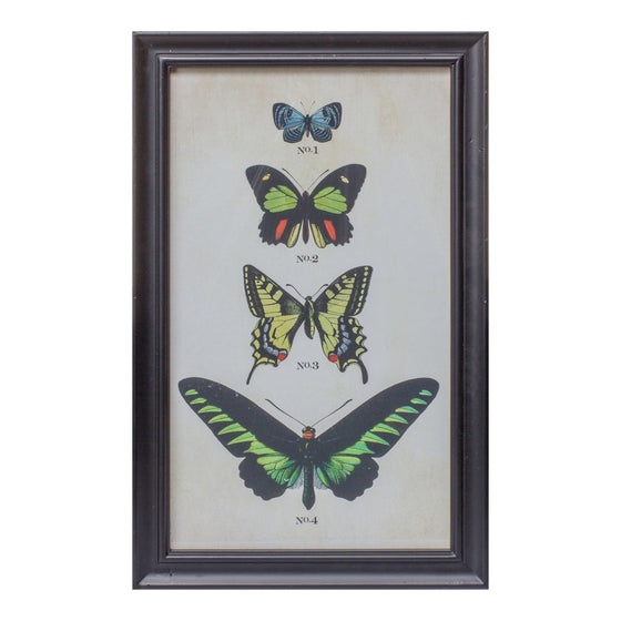 Framed Butterfly Set of 2 in Black Wooden Frames