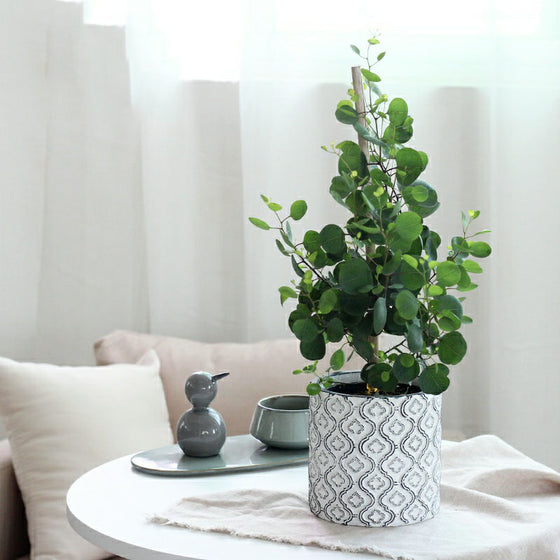 Flowerpot with White and Black Ornate Design