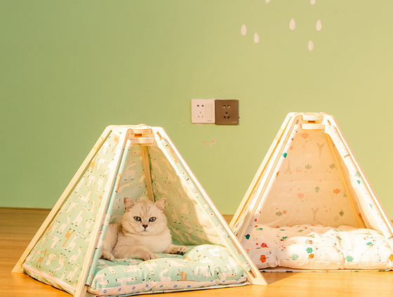 Pet Tent and Bed