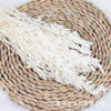 PAMPAS Grass Dried Flower Bouquet Small Reed Decoration