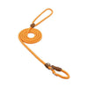 Strong and Sturdy Nylon Dog Leash