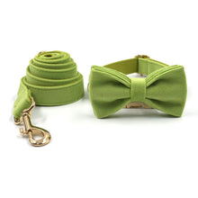  Green Luxury Dog Collar and Leash