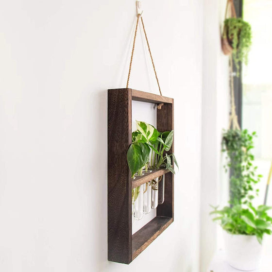 Wooden Wall Framed Plant Display