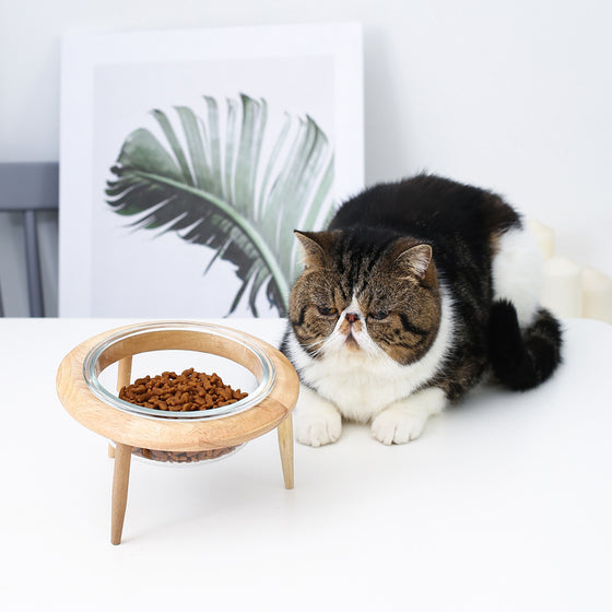 Minimalistic Wooden Food Station for Cats and Dogs