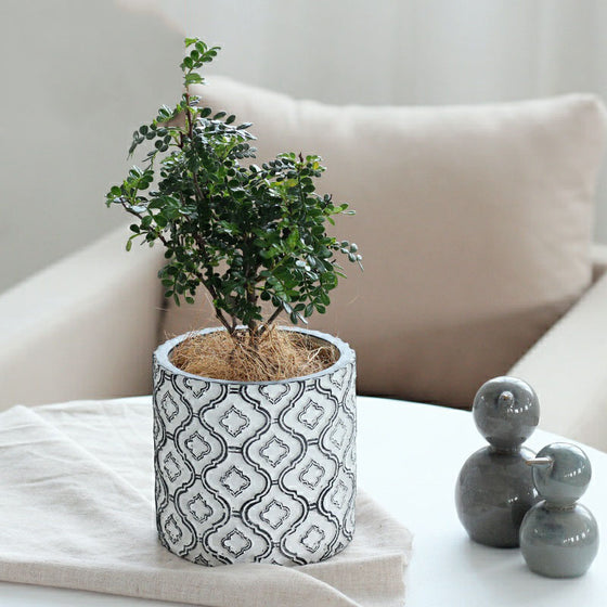 Flowerpot with White and Black Ornate Design