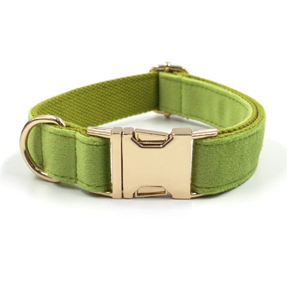 Green Luxury Dog Collar and Leash