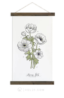  Anemone Study Vol. 1| Unique Wall Hanging Art by Jessica Rose