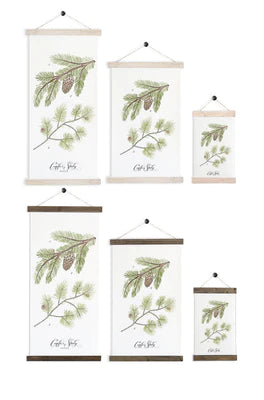 Conifer Study Vol. 1 | Unique Wall Hanging Art by Jessica Rose