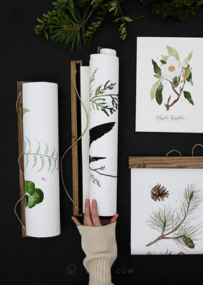 Conifer Study Vol.3 | Unique Wall Hanging Art by Jessica Rose