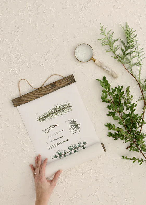 Conifer Study No. 4 | Unique Wall Hanging by Jessica Rose