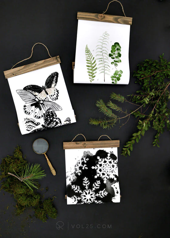 Fern Study Vol. 3 | Unique Wall Hanging Art by Jessica Rose