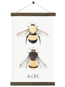  Insect Study Bumble Bee | Unique Wall Hanging Art by Jessica Rose