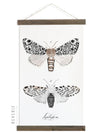 Lepidoptera Study Vol.3 | Unique Wall Hanging Art by Jessica Rose