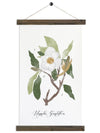 Magnolia Study | Unique Wall Hanging Art by Jessica Rose