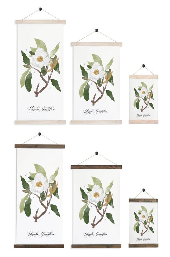 Magnolia Study | Unique Wall Hanging Art by Jessica Rose