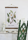 Magnolia Study | Unique Wall Hanging Art by Jessica Rose