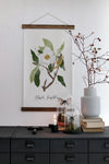 Magnolia Study | Unique Wall Hanging Art by Jessica Rose