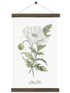 Poppy Study Vol.2 | Unique Wall Hanging Art by Jessica Rose