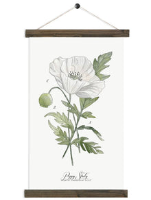  Poppy Study Vol.2 | Unique Wall Hanging Art by Jessica Rose