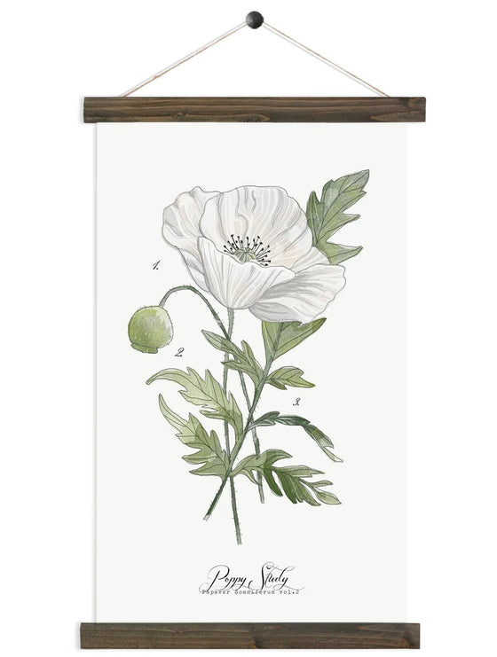 Poppy Study Vol.2 | Unique Wall Hanging Art by Jessica Rose