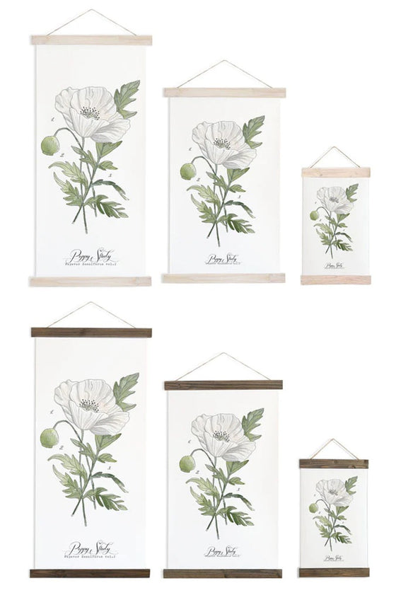 Poppy Study Vol.2 | Unique Wall Hanging Art by Jessica Rose