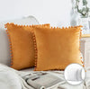 Pair of 22" Velvet Throw Pillows Finished With Decorative Pom Pom Trim