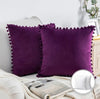 Pair of 22" Velvet Throw Pillows Finished With Decorative Pom Pom Trim