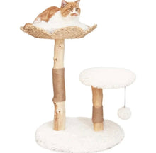  28" Natural Wood Cat Tree and Scratch Post