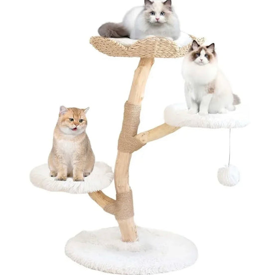Three-Tiered Cat Tree Made of Natural Wood and Rope