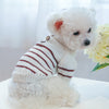 Dog and Cat Striped Sweater | Available in 2 Colors