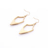 Geometric Stone Pendant Earrings in Gold Plating