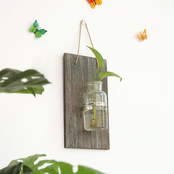 Rustic Wooden Hydroponic Plank Wall Hanging Collection