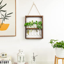  Wooden Wall Framed Plant Display