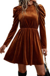 Chestnut Velvet Frilled Neck Gigot Sleeve Swing Dress