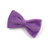 Purple Dog Collar, Bowtie, and Leash Set | Available in 5 Colors