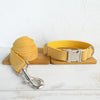 Yellow Dog Collar and Leash