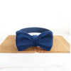 Navy Blue Dog Collar and Leash