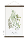 Fern Study Vol. 1 | Unique Wall Hanging Art by Jessica Rose