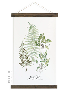  Fern Study Vol. 1 | Unique Wall Hanging Art by Jessica Rose