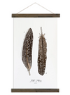 Feather Patterns Vol. 4 | Unique Hanging Wall Art Jessica Rose