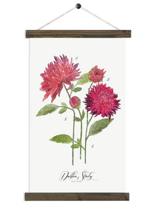  Dahlia Study in Scarlet | Unique Wall Hanging Art by Jessica Rose