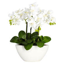  Phalaenopsis Silk Flower Arrangement